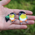 Smart Parrot Patches(Stick-On)