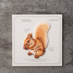 Squirrel Patches (Iron-On)