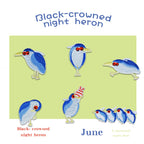 six black-crowned night heron embroidered stick-on patches complete set