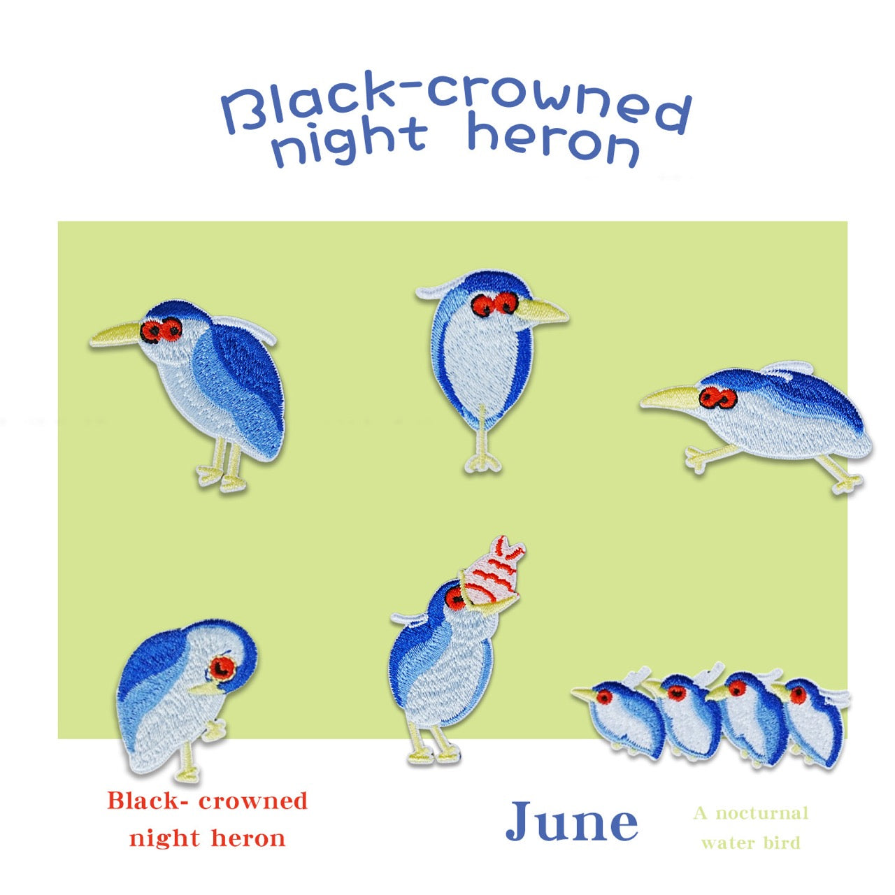 six black-crowned night heron embroidered stick-on patches complete set