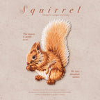 Squirrel Patches (Iron-On)