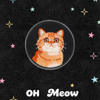 Cat in the Mirror Patches (Stick-On) - CheerCove