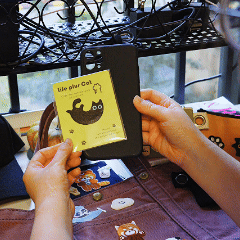 Life Plus Cat Patches(Stick-On) - CheerCove