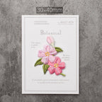 Beautiful flower Patches (Iron-On)