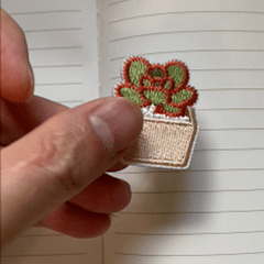 animated hand holding packaged mini potted succulent embroidered patches showing multiple succulent styles and detailed embroidery texture